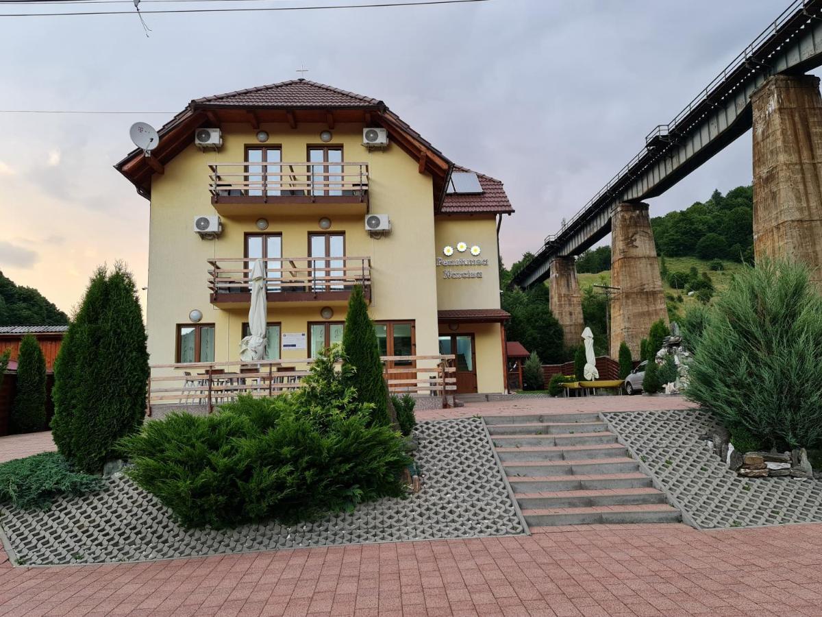 Pensiunea Narcisa Romuli Exterior photo