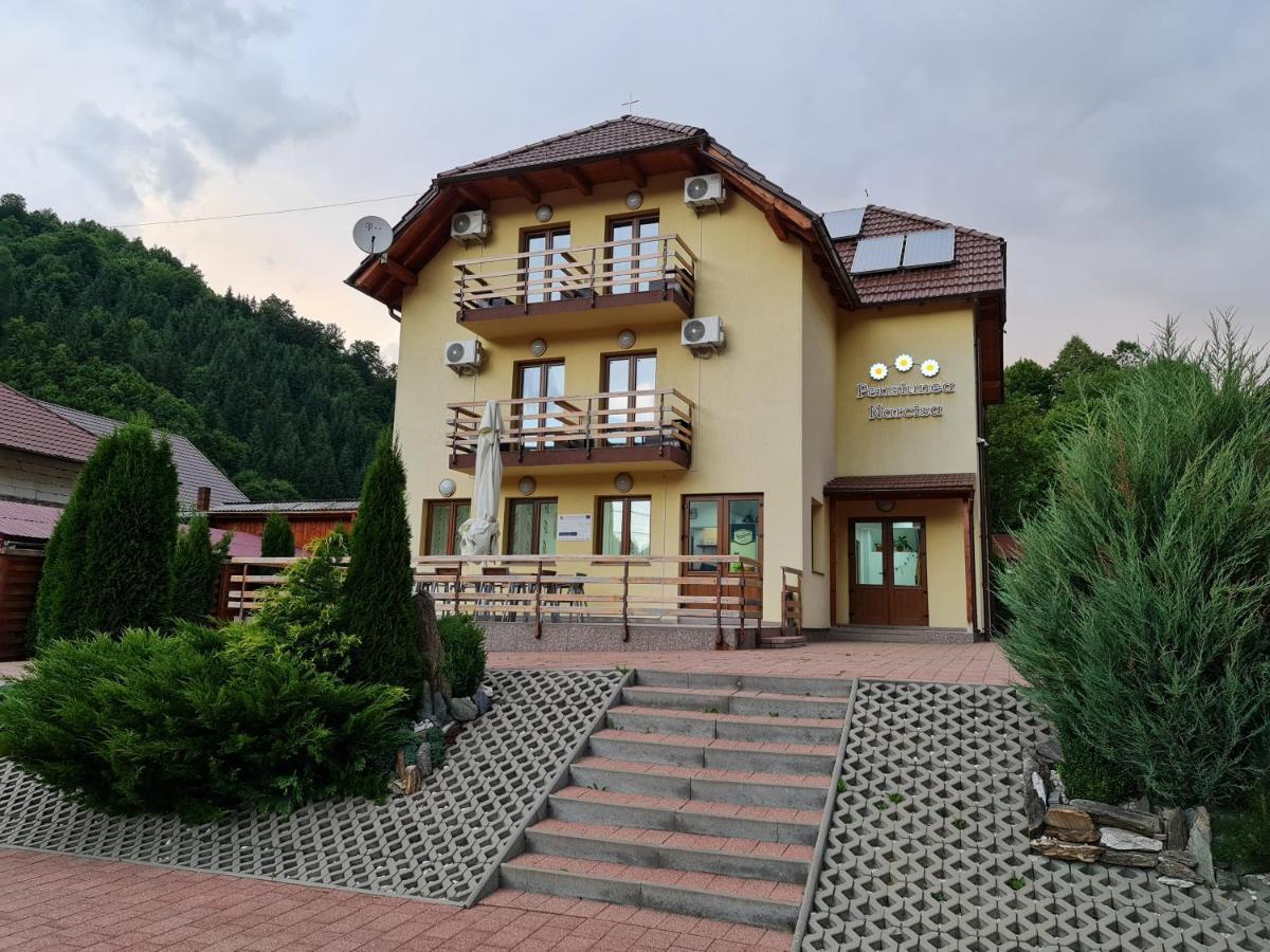 Pensiunea Narcisa Romuli Exterior photo