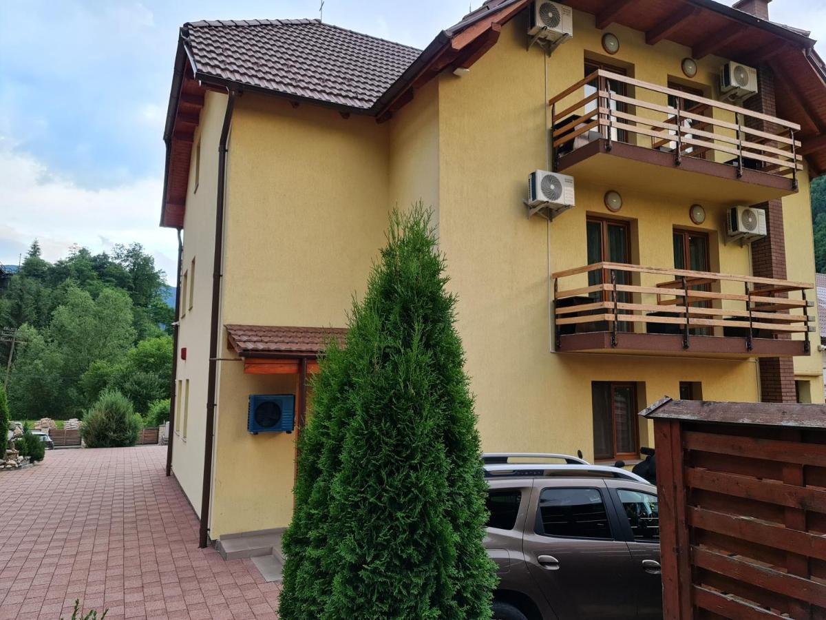 Pensiunea Narcisa Romuli Exterior photo