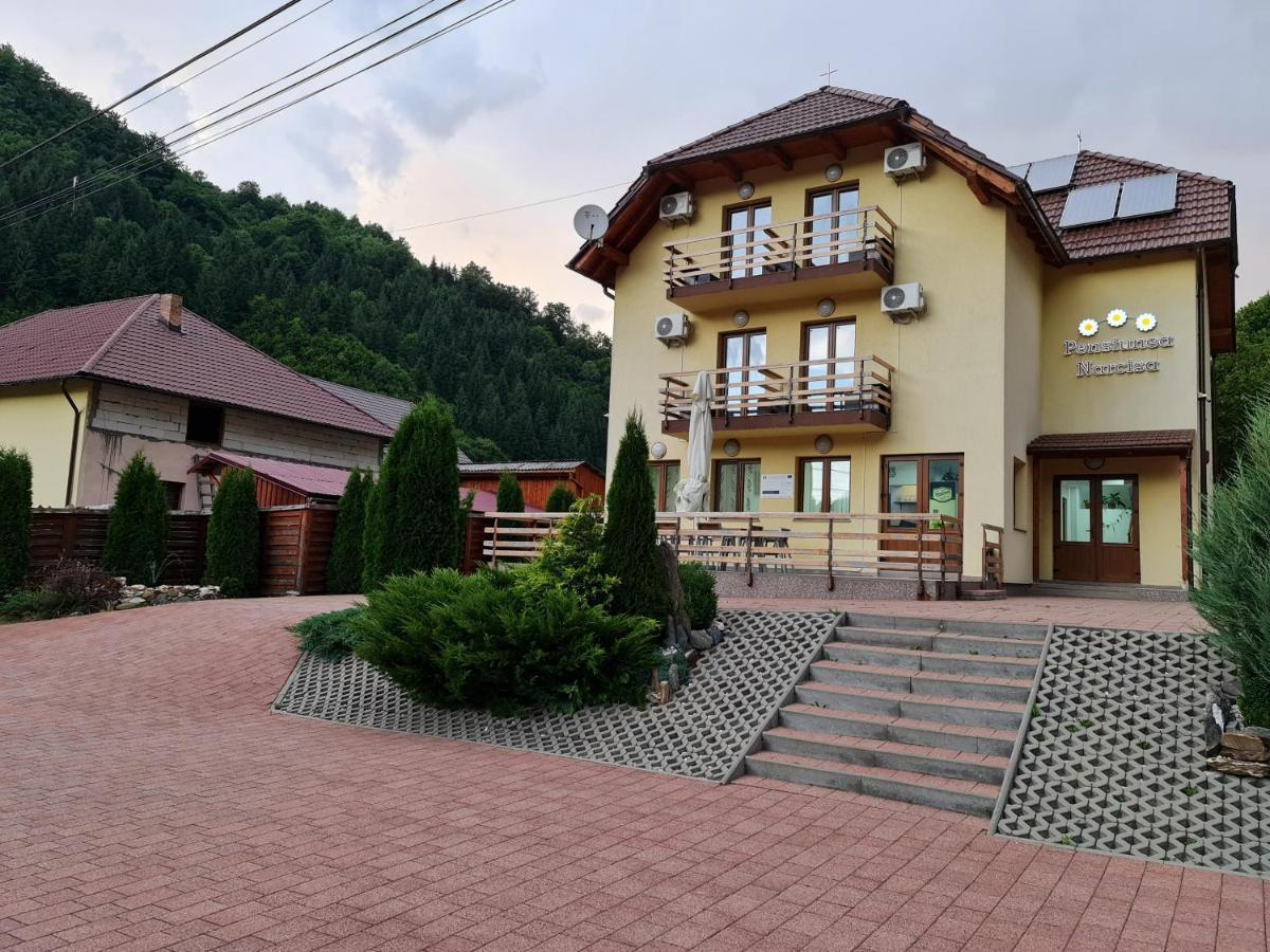 Pensiunea Narcisa Romuli Exterior photo