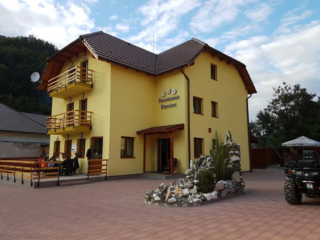 Pensiunea Narcisa Romuli Exterior photo